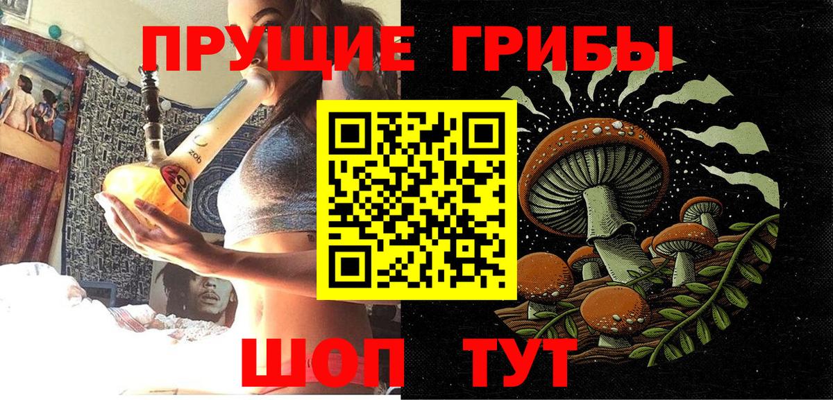 Урюпинск  Псилоцибиновые грибы ЛСД  Вход с VPN  Галлюциногенные грибы Cubensis 