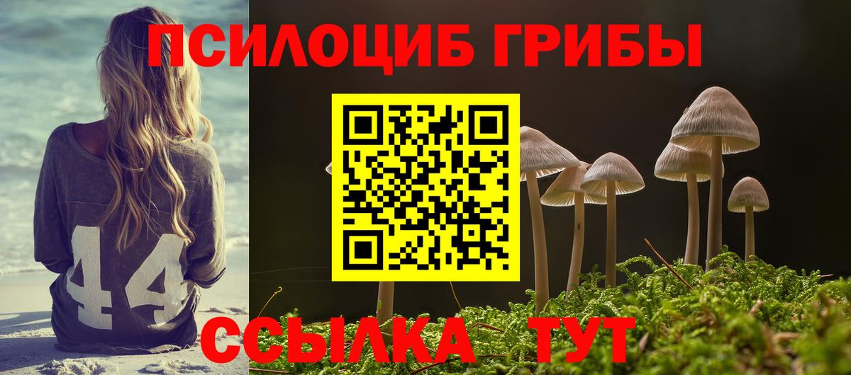 Галлюциногенные грибы Psilocybe Урюпинск